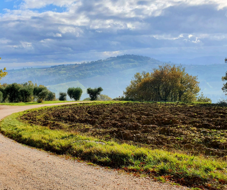 Umbria, Assisi & Le Marche Marvels