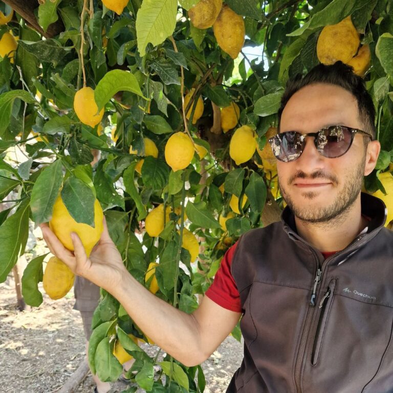 Matteo in his lemon orchard