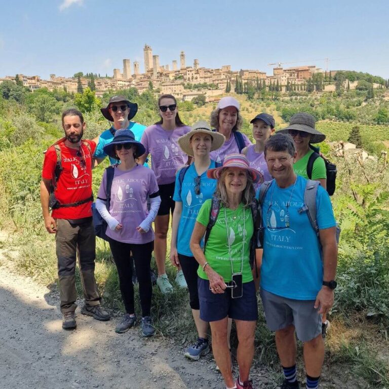 Small group hike with panoramic view of San Gimignano, Tuscany